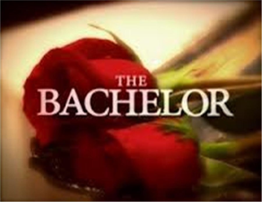 The+Bachelor+is+a+popular+TV+show+amongst+young+adults.+PhotoCo%3Atvbythenumbers.zap2it.com