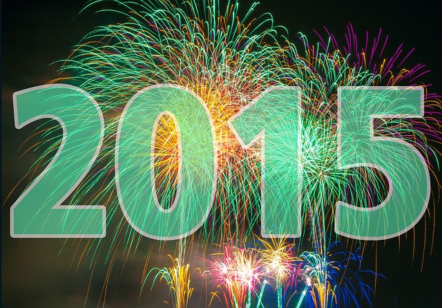 2015 yayyyyyy. PhotoCo:http://www.99rifters.com/us-happy-new-year/