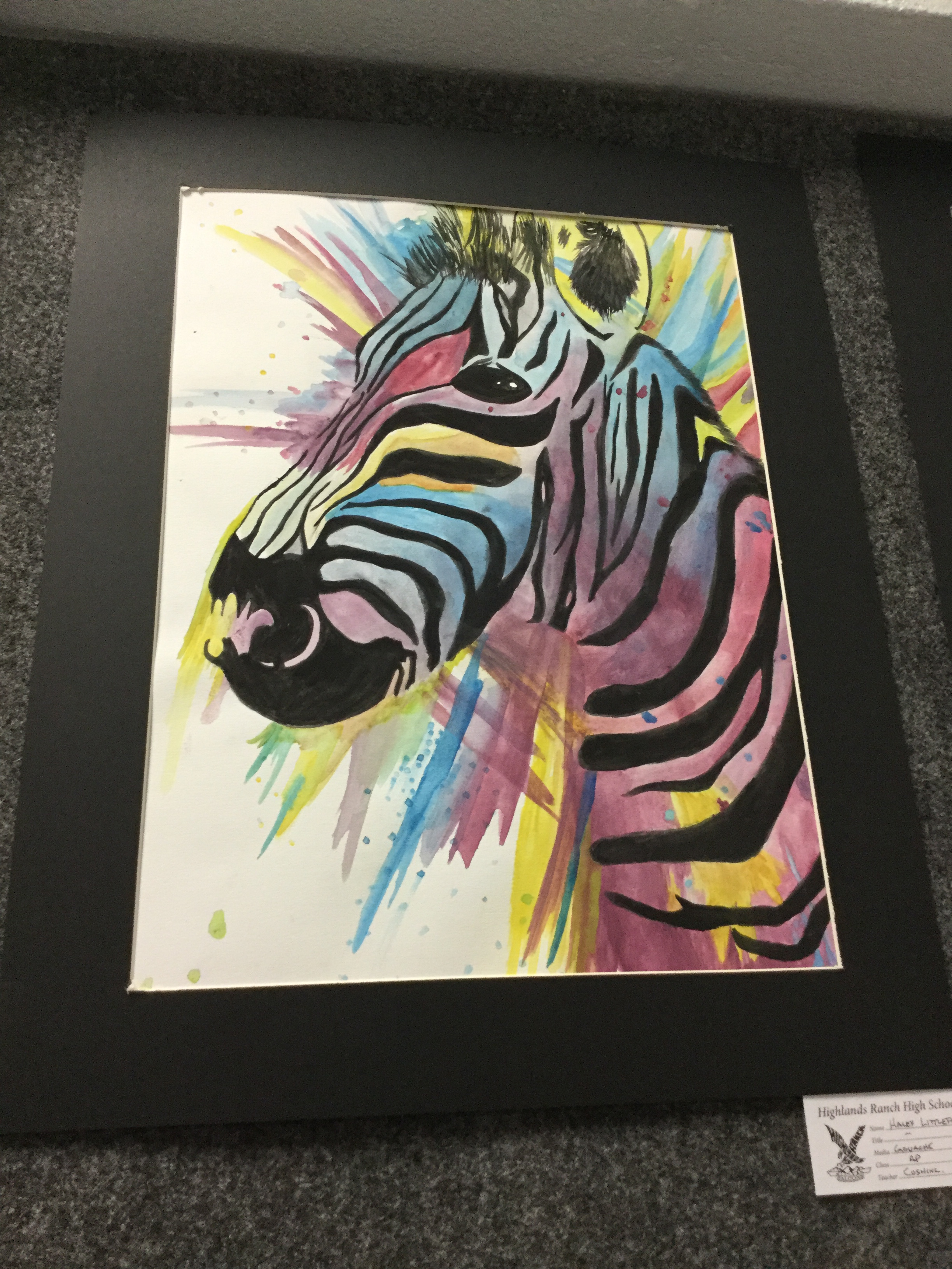 Art zebra