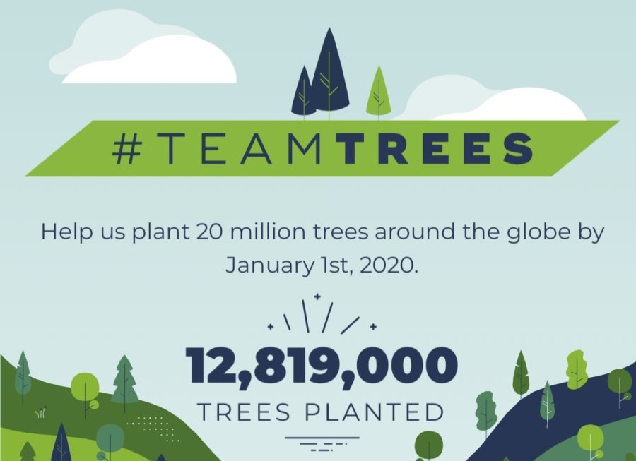 Why+the+Save+The+Trees+trend+is+important