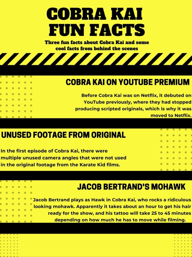 Cobra Kai’s season 3 almost has the perfect recipe for drama, action, and nostalgia