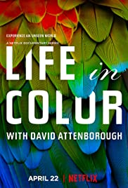 Life in Color is a spectacular look into the animal kingdom