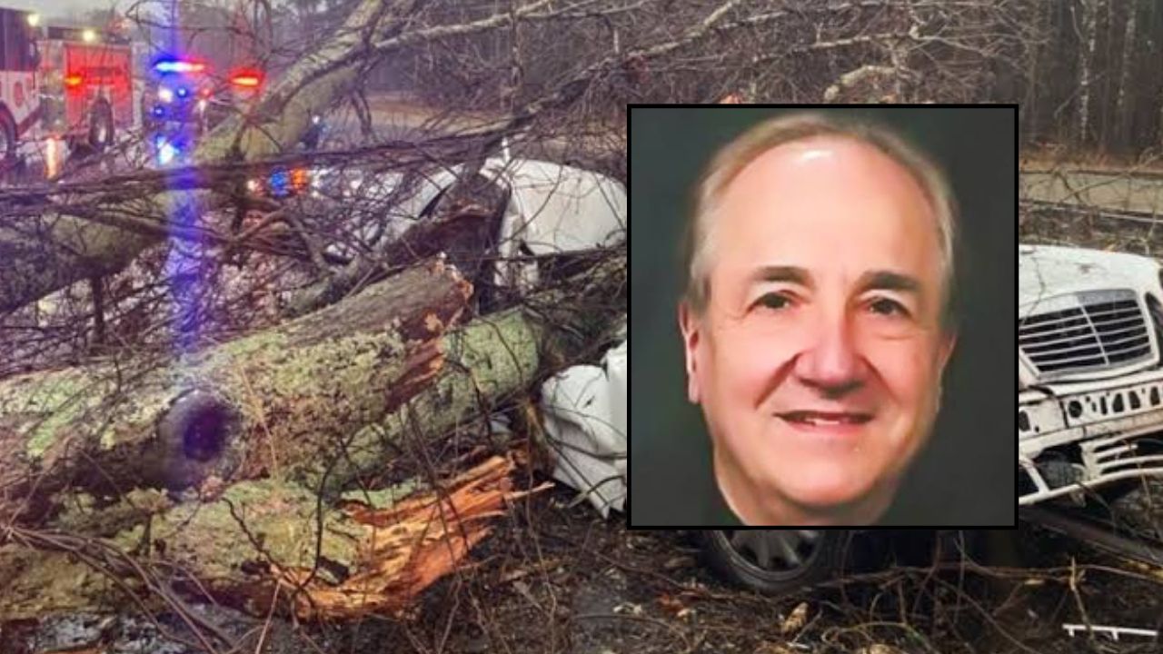 78-Year-Old Massachusetts Man Dies After Tree Falls on Him During Powerful Nor’easter at Lenox Hiking Trail