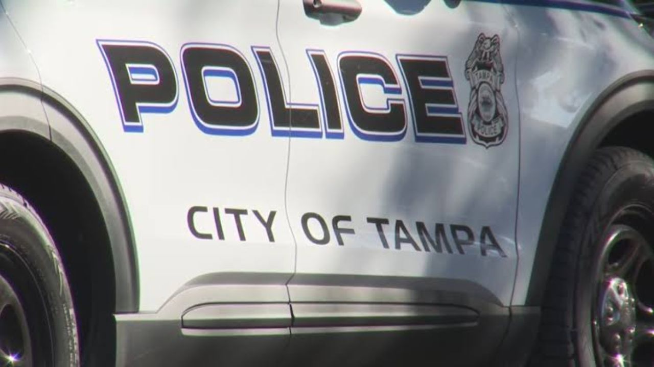 https://www.fox13news.com/news/tampa-woman-killed-car-crash-bus-stop-driver-charged-dui-manslaughter-fhp