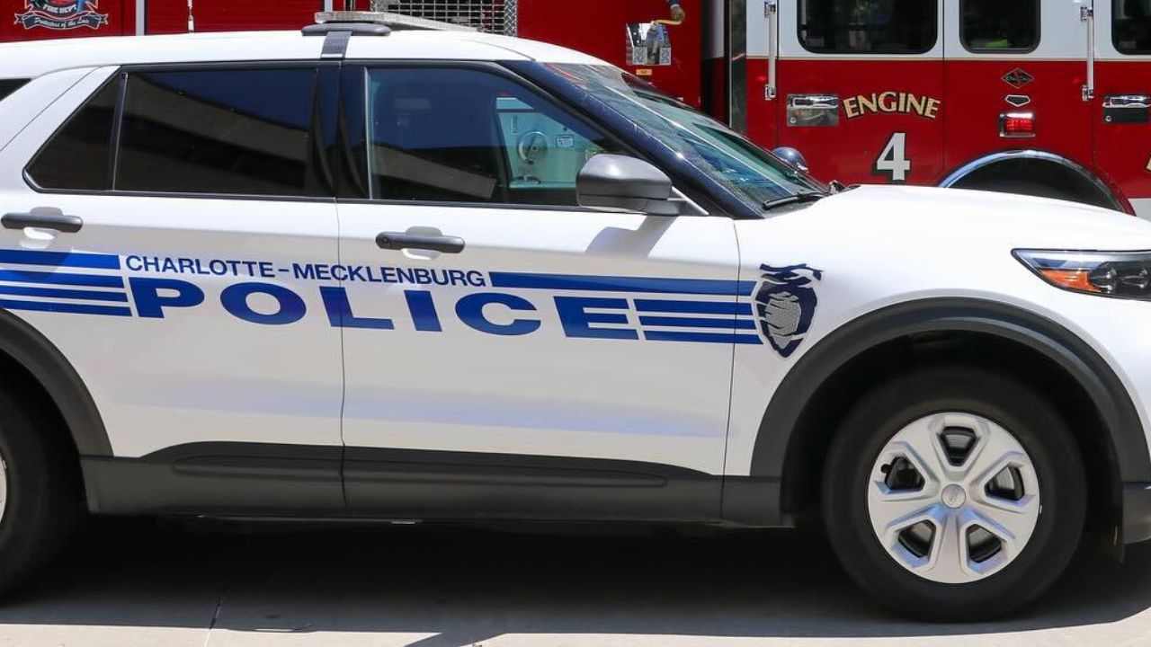 Driver Runs Red Light, Fatally Hits Pedestrian and Flees—Judge Hands Down Sentence