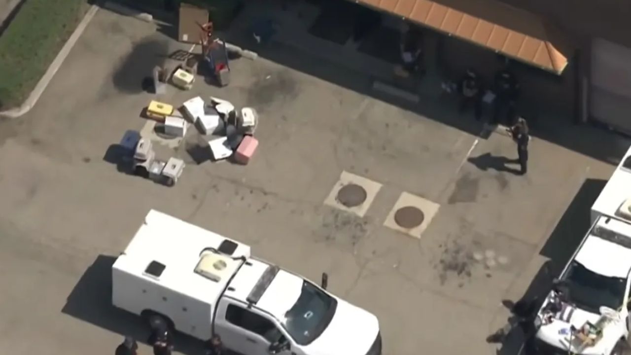 More Than 500 Cats Found During California Rescue Investigation—28 Were Allegedly in a Garage Freezer