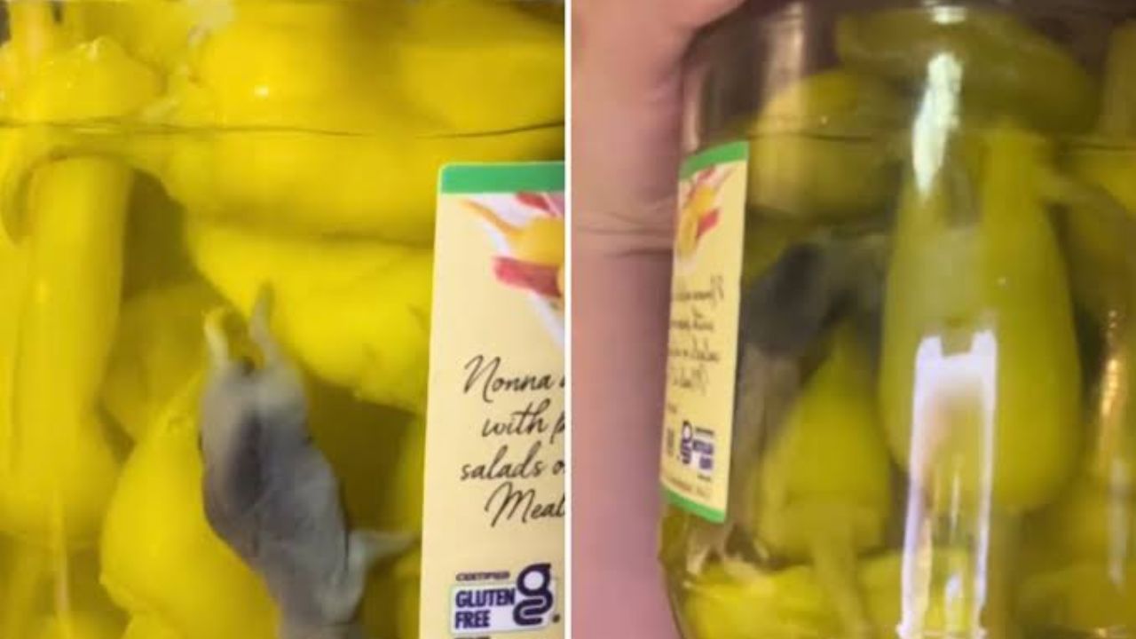 Popular Pickled Pepper Brand Recalled After TikTok User Claims She Found a Dead Mouse Inside