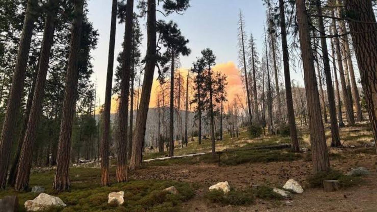 Yosemite’s Dome Fire Has Nearly Quadrupled in Just One Week—4,030 Acres Burned as Containment Stays at 15%