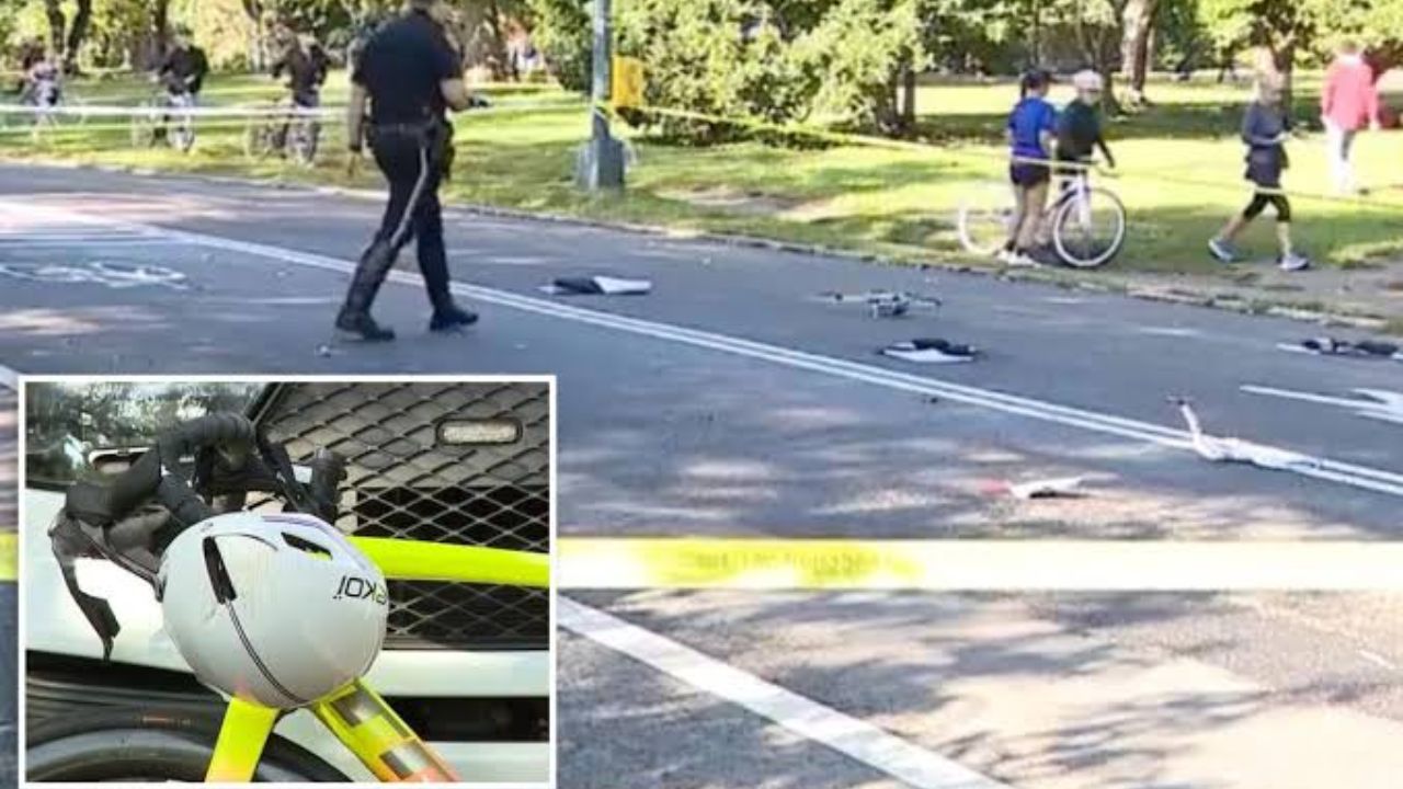 71-Year-Old NYC Cyclist Killed in Central Park After Unleashed Golden Retriever Runs Into His Path