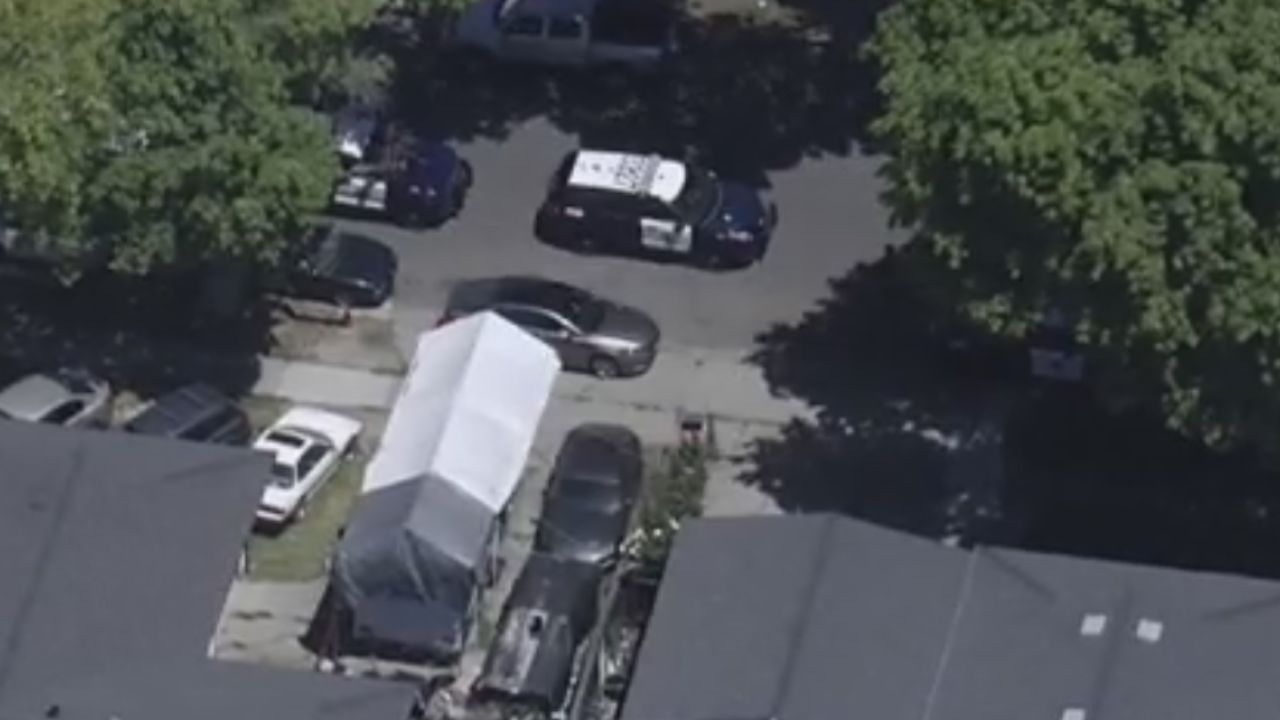 Cockroaches, Mold Found in Home Where 8-Year-Old Girl Died After Asthma Emergency, DA Says