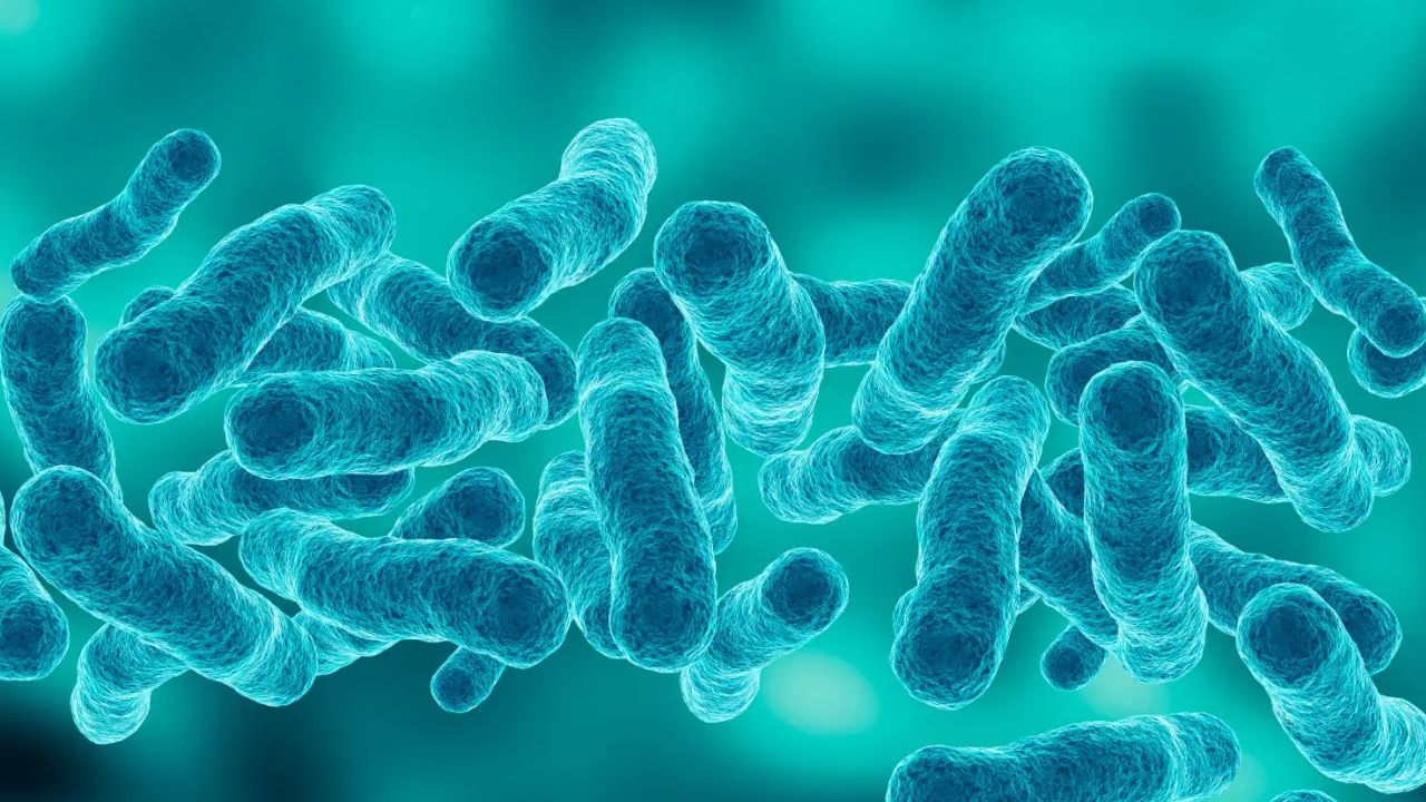 Deadly Legionella Bacteria Found at LA Medical Examiner’s Office After Employee Tests Positive