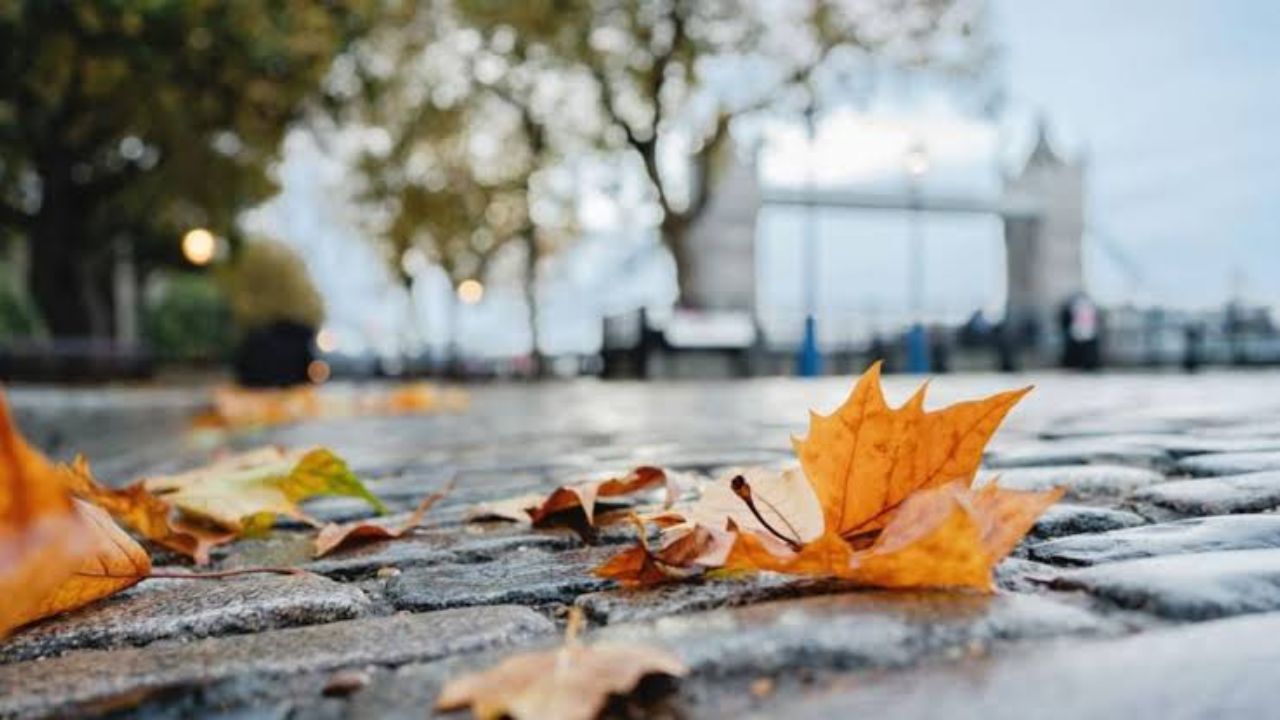 First October Frost Could Arrive This Week as a Sharp Fall Chill Sends Temperatures Tumbling Across the East