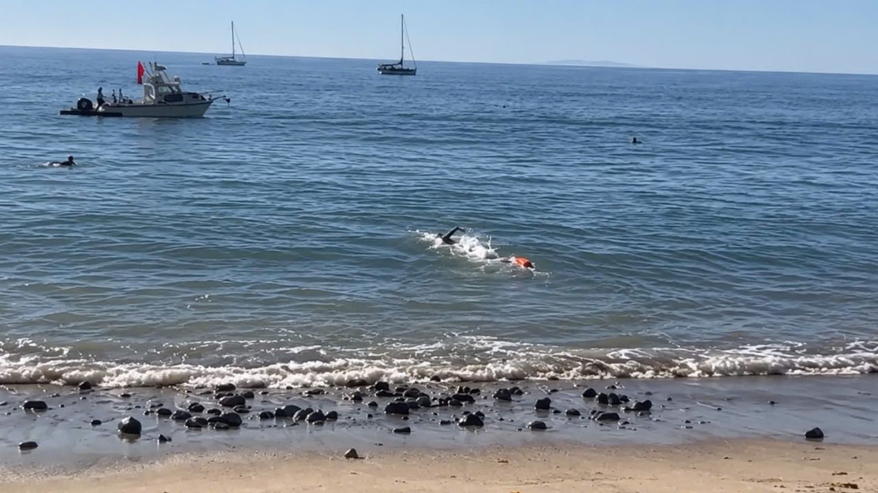 Fisherman Reels In Mako Shark, Releases It—Then the Shark Comes Back for a Second Attack