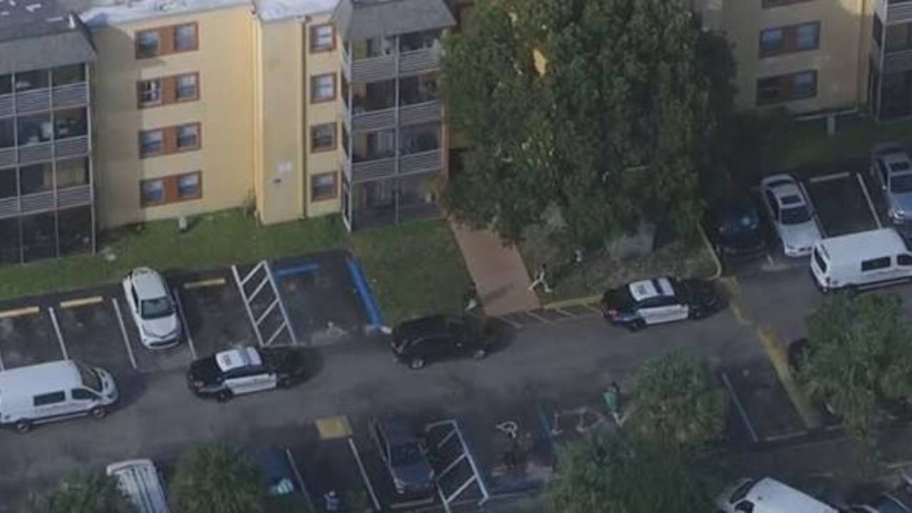 Florida Girl Suffers Chest Injury After Younger Brother Allegedly Throws Knife at Her, Police Say