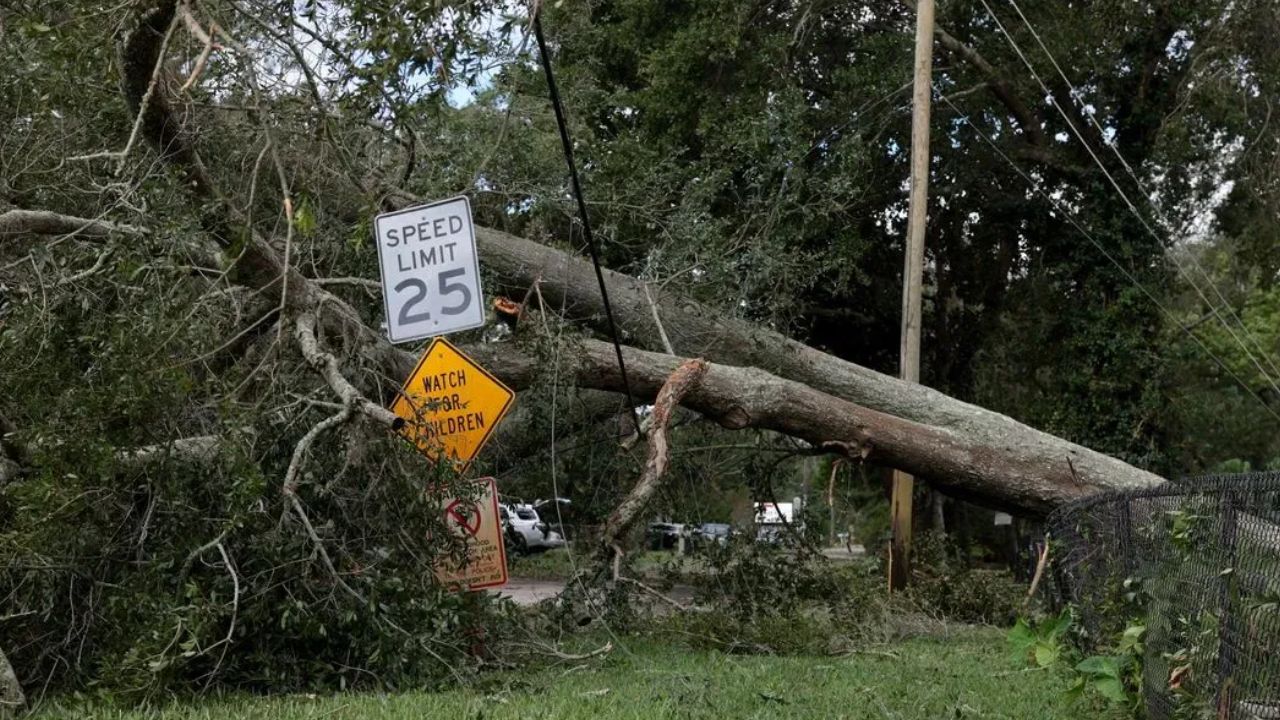 Hurricane Isaias Leaves a Deadly Trail Across Florida and Alabama as Fallen Trees, Power Lines and Storm Damage Spread