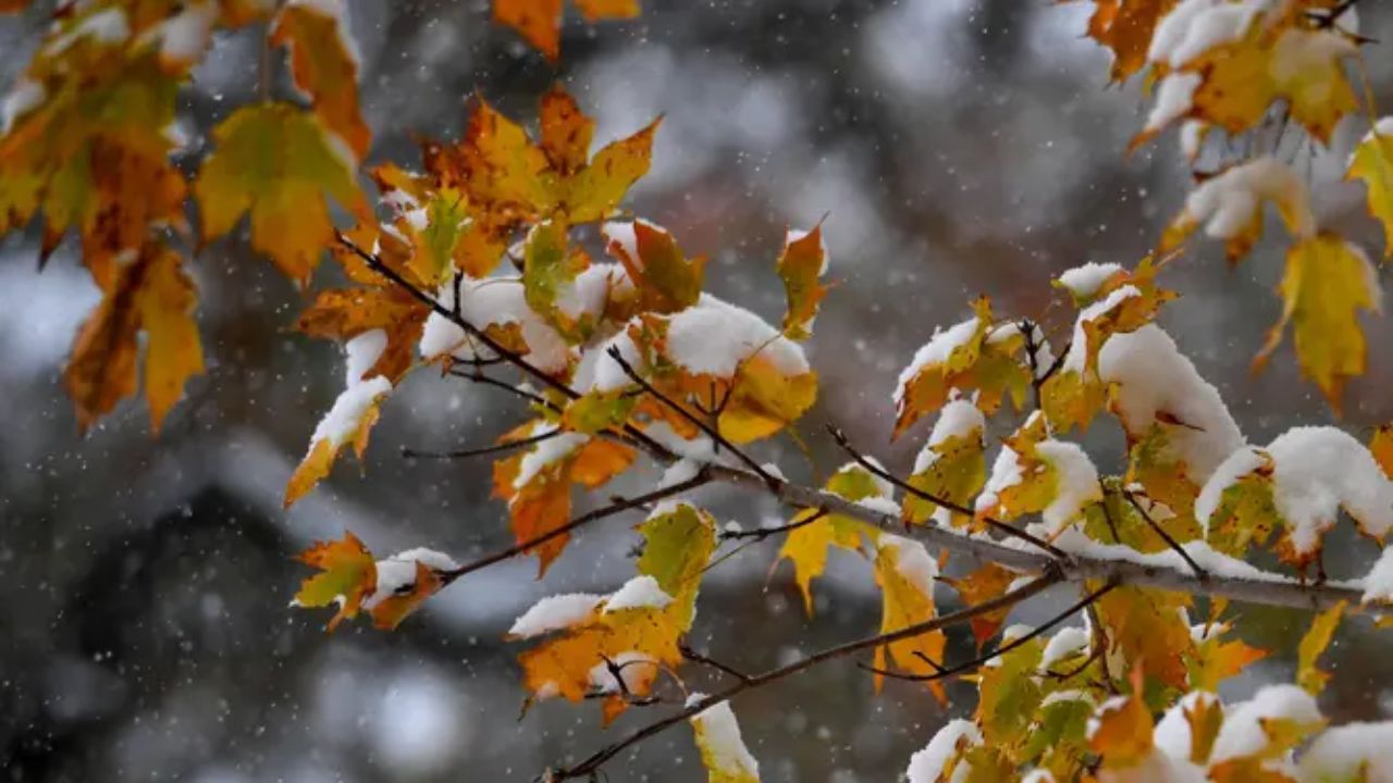 Winter Has Arrived Early Before Historic Snowfall Dates Across the Northeast Revealed